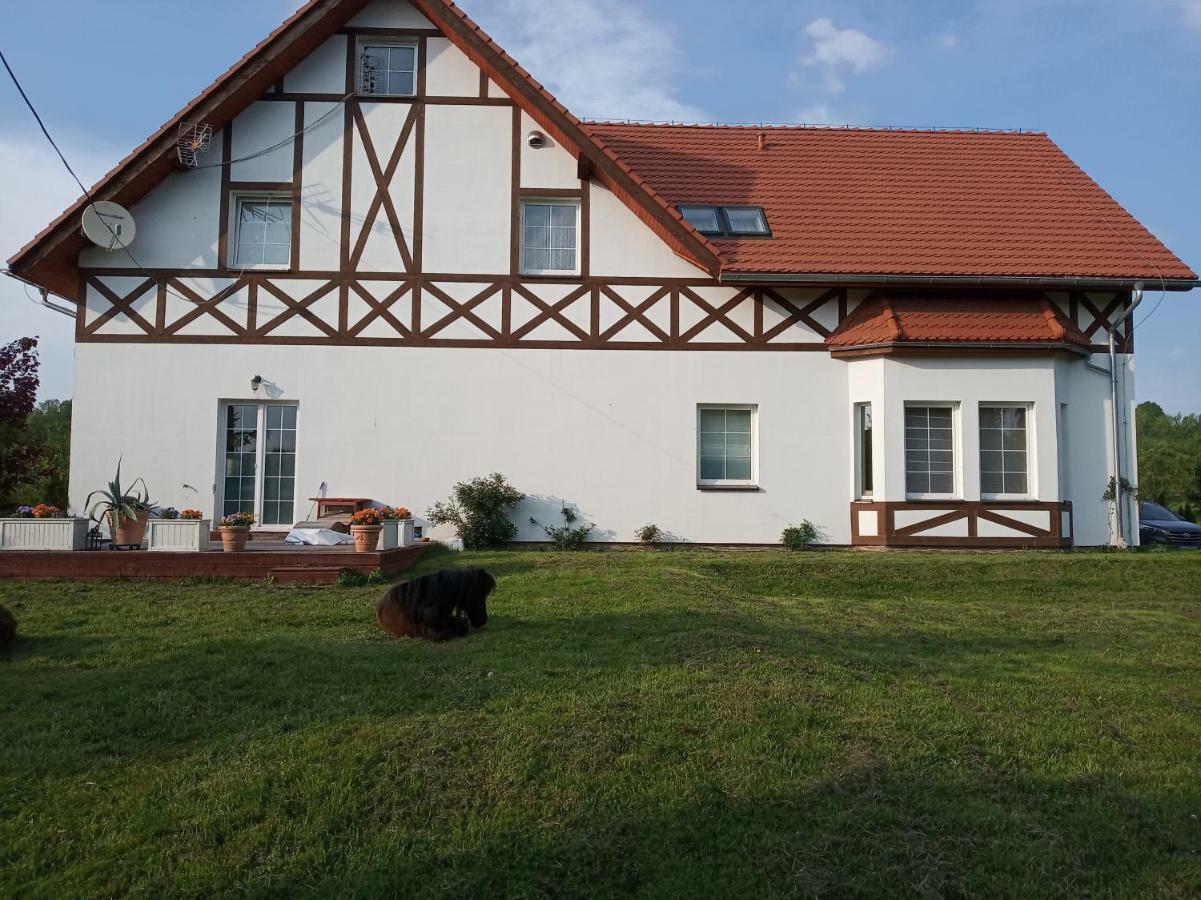 B&B Zrodlana 46 Olszyna  Esterno foto